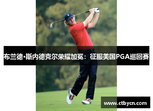 布兰德·斯内德克尔荣耀加冕：征服美国PGA巡回赛