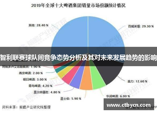 智利联赛球队间竞争态势分析及其对未来发展趋势的影响
